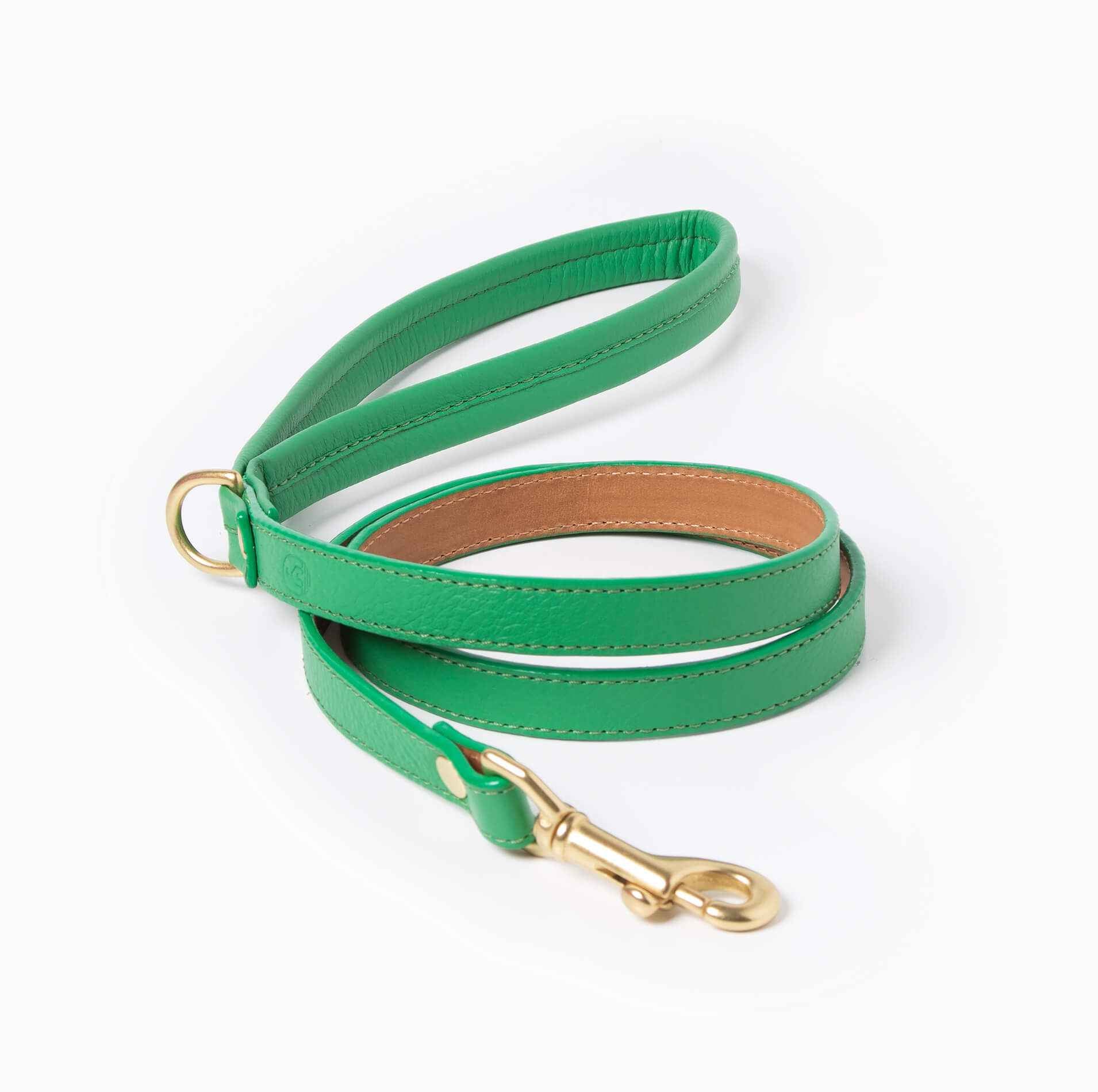 Spring Leash Leather in Green