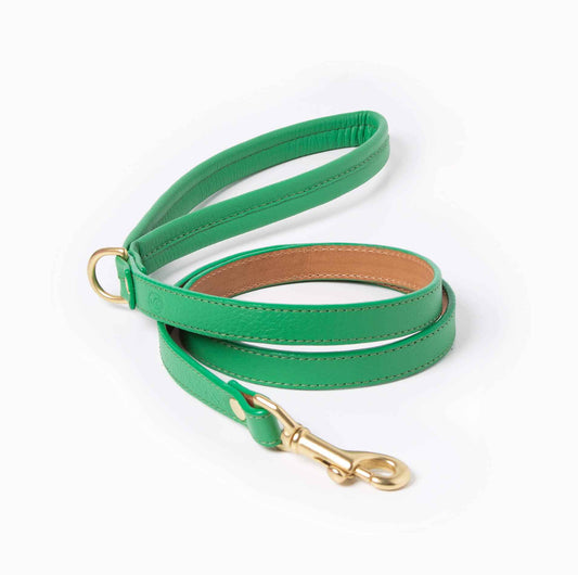 Spring Leash Leather in Green