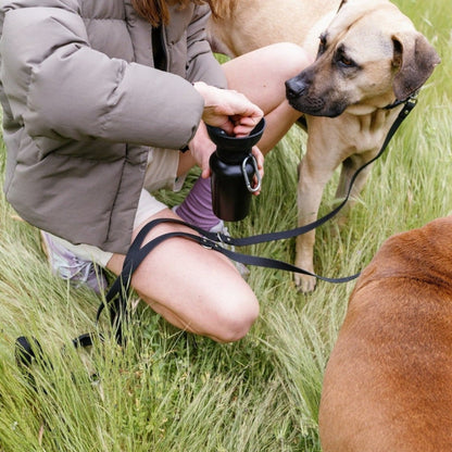 Person holding a black dog leash with a dog in the grass
