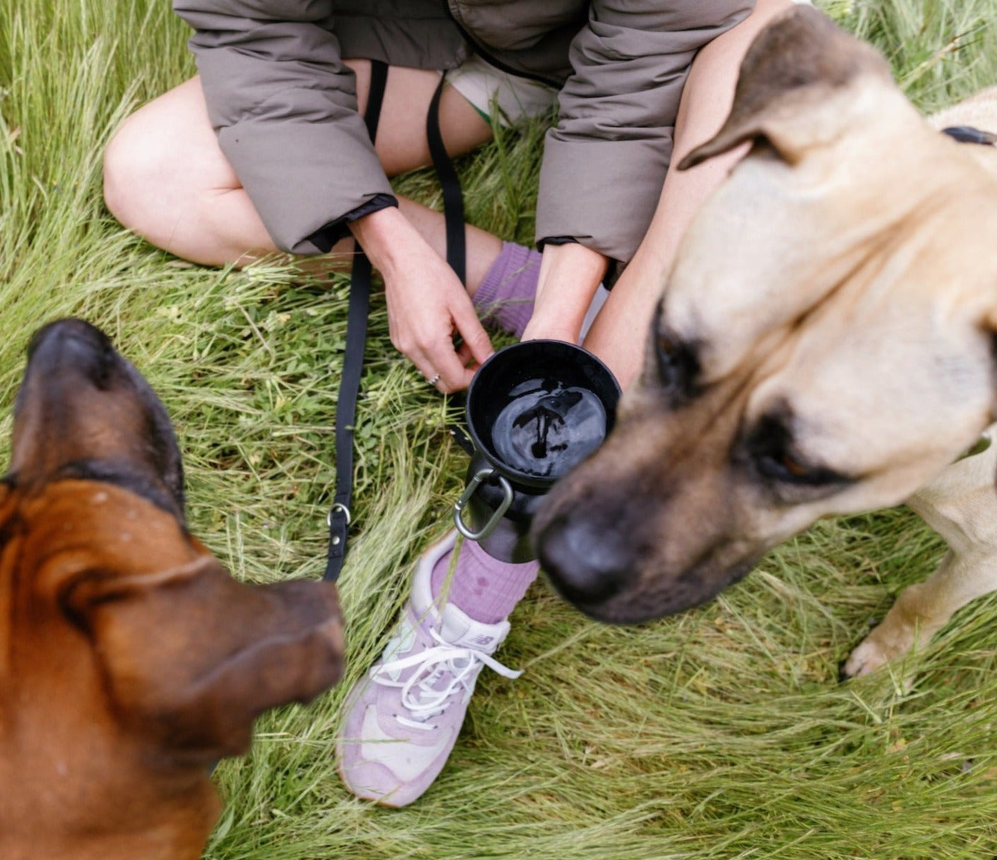 Person kneeling on grass with two dogs, one of which is sniffing a black container.