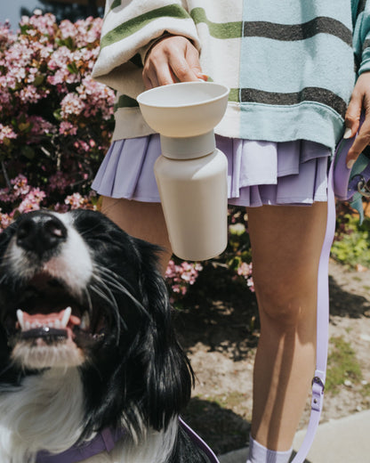 Person holding a small white doggy water fountain with a dog sitting next to them, surrounded by flowers.