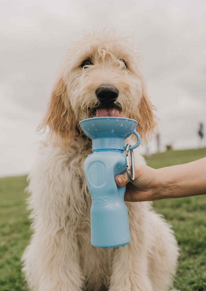 22oz Original Springer Dog Travel Water Bottle