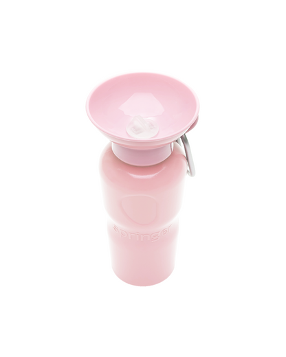 Pink water bottle with a detachable spout on a white background