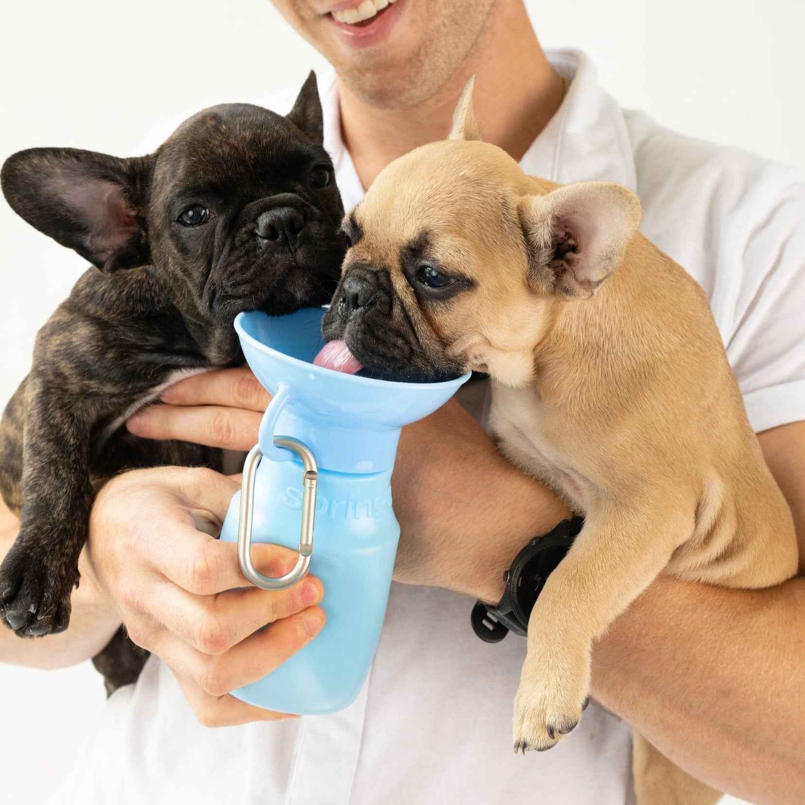 15oz Original Springer Dog Travel Water Bottle