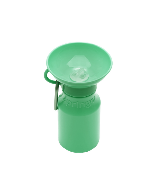 Green water bottle with a detachable spout on a white background