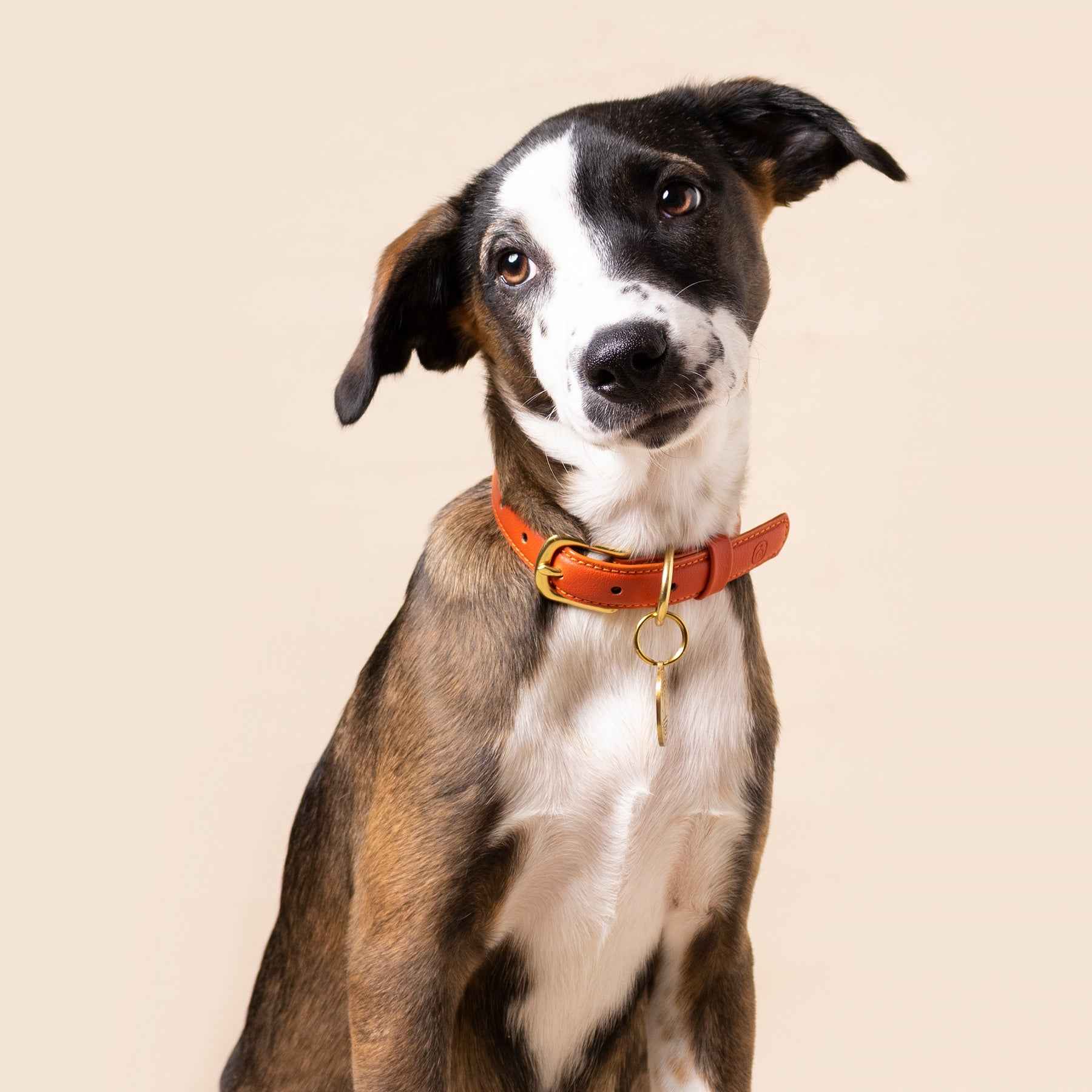 Sunset Collar
