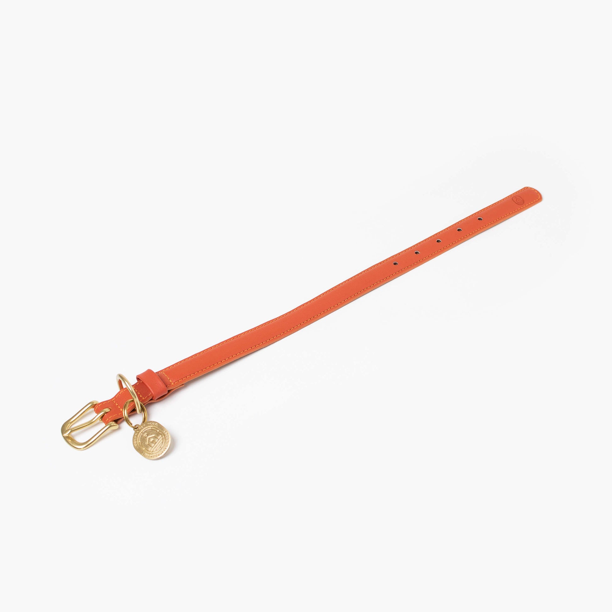 Orange collar with a gold buckle and tag on a white background