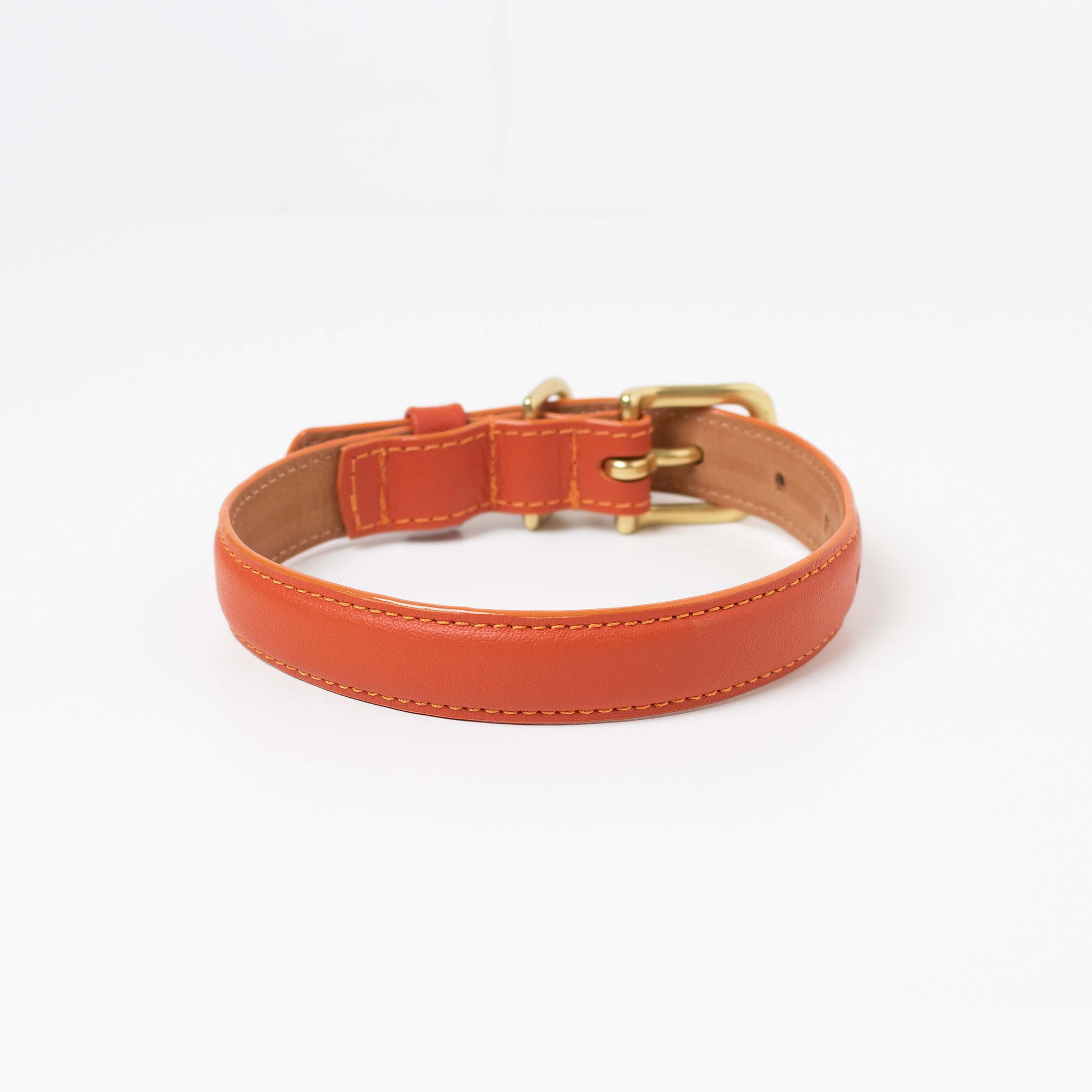 Orange leather dog collar with a gold buckle on a white background