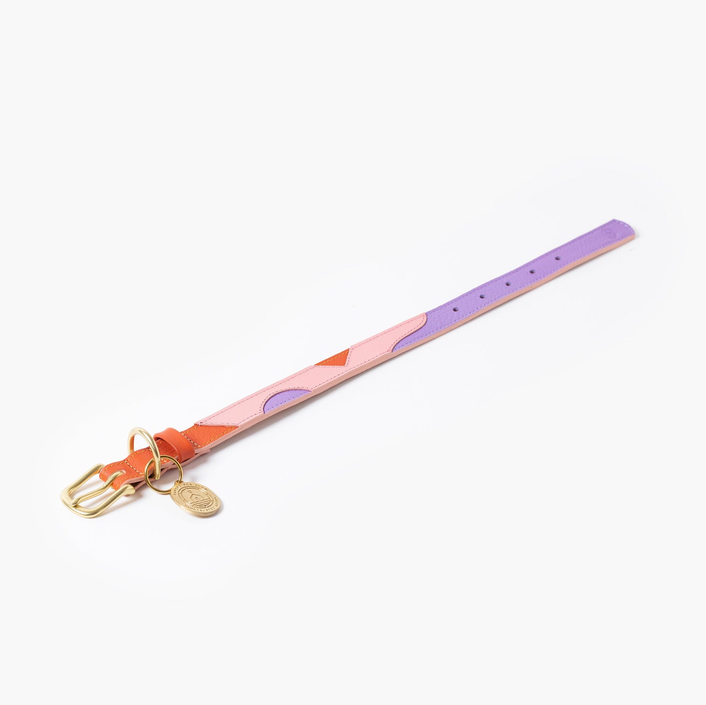 Colorful collar with a gold buckle on a white background