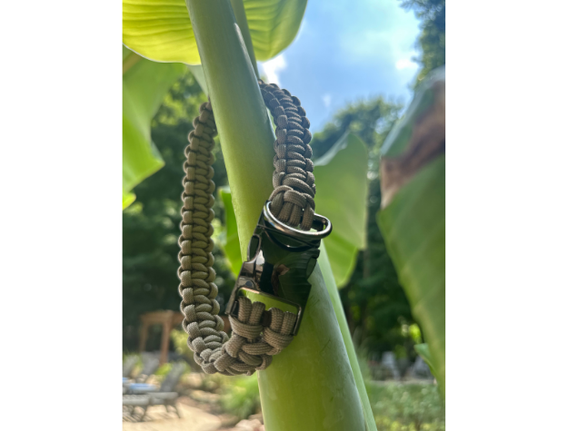 Dog collar with a black band and green accents on a leafy plant