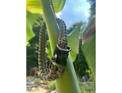 Dog collar with a black band and green accents on a leafy plant
