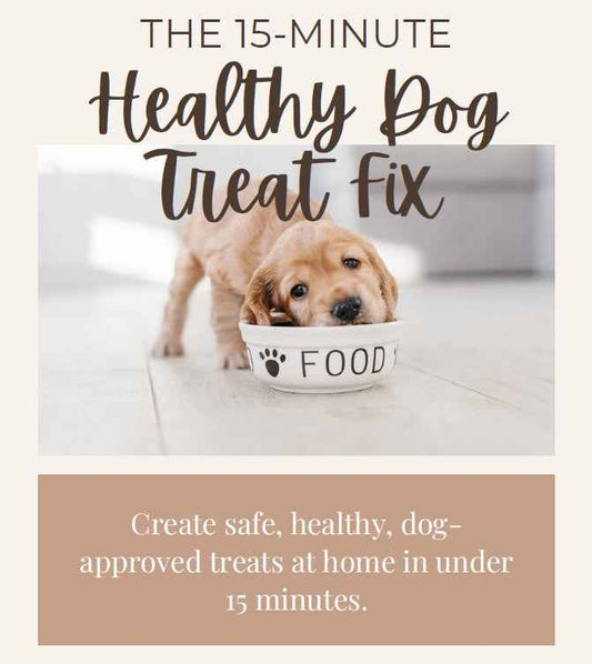 The 15 Minute Healthy Dog Treat Fix - Free Digital Download