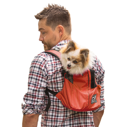 Man wearing a red backpack with a small dog inside on a white background