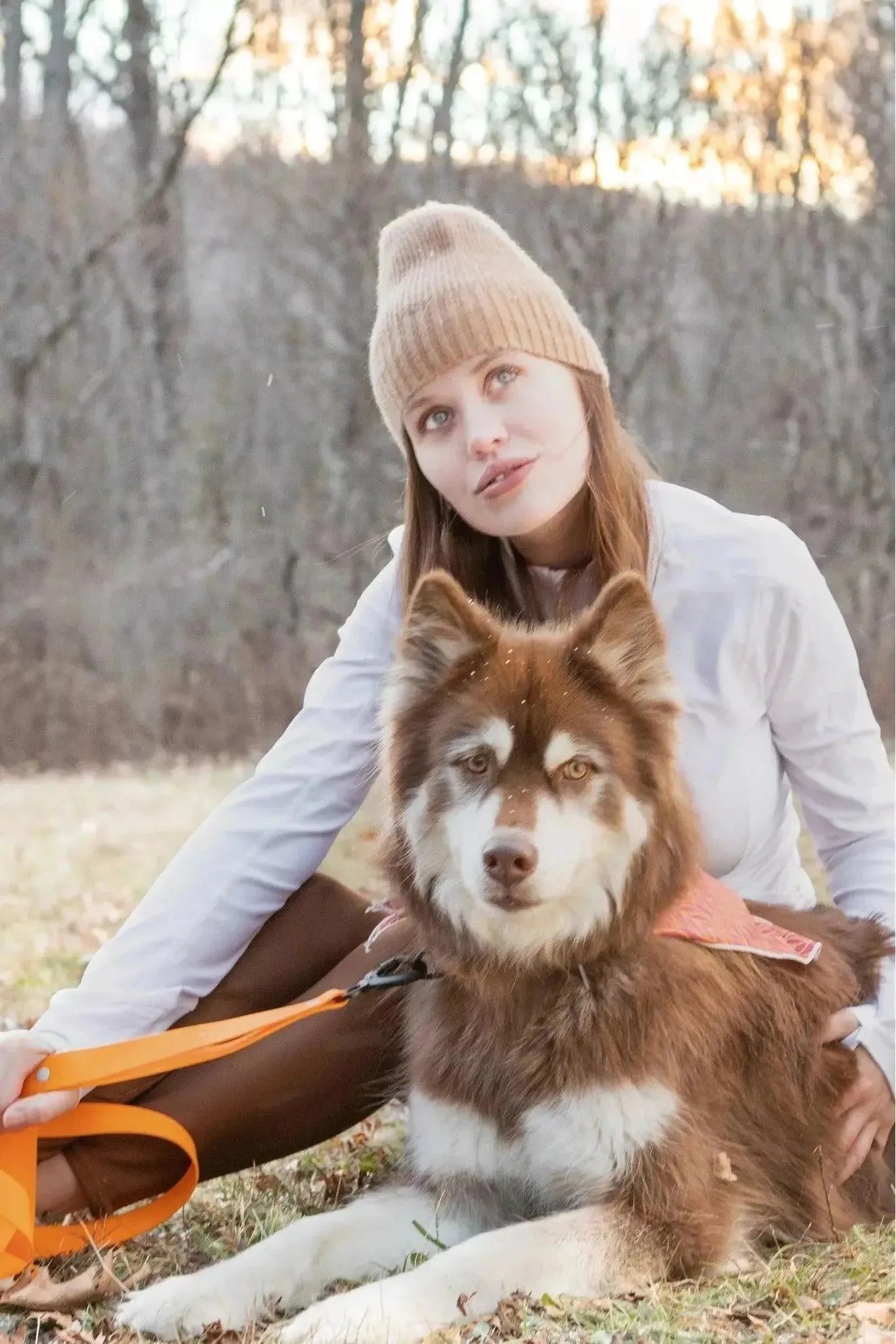 Woman sitting with a brown and white dog in an outdoor setting