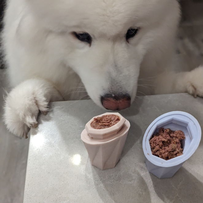 The Ubbe Modern Dog Licking Toy