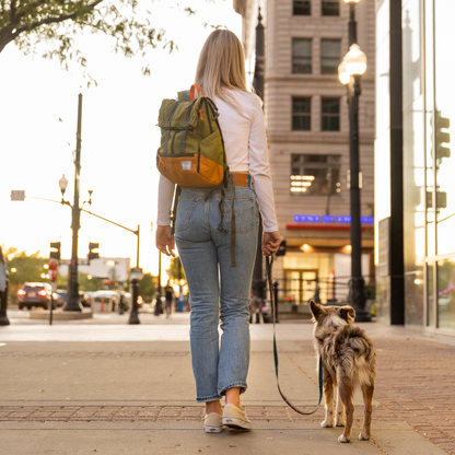 Person walking a dog on a leash in an urban setting with buildings and streetlights in the background.