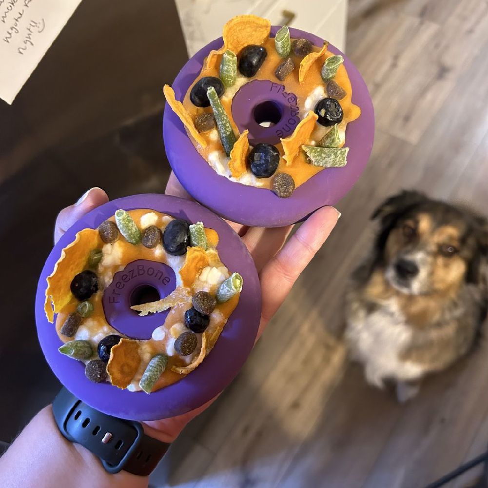 Two purple dog toys with Halloween-themed decorations held by a person, with a dog in the background.