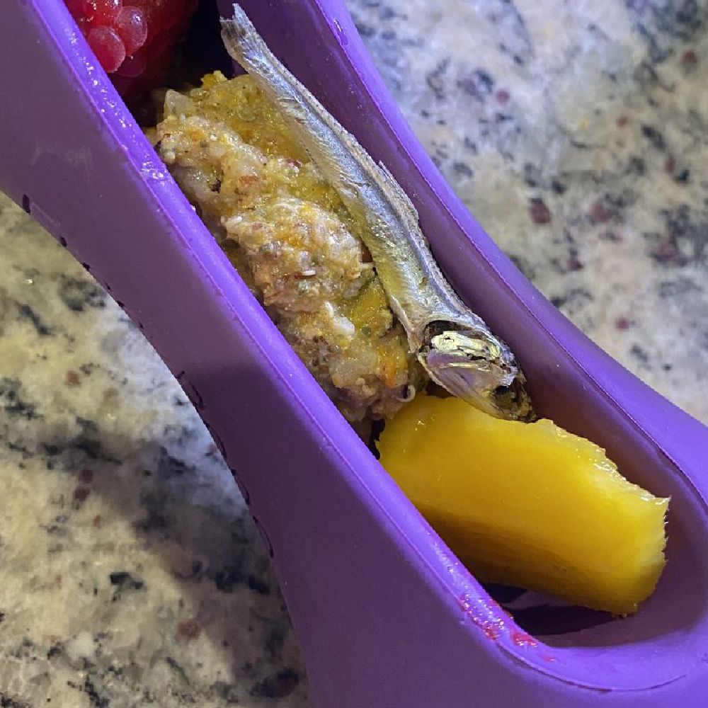 Purple snack container with a cracker and yellow fruit on a speckled countertop