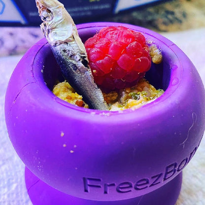Purple FreezBowl with a frozen treat containing a raspberry and fish stick on a white surface.