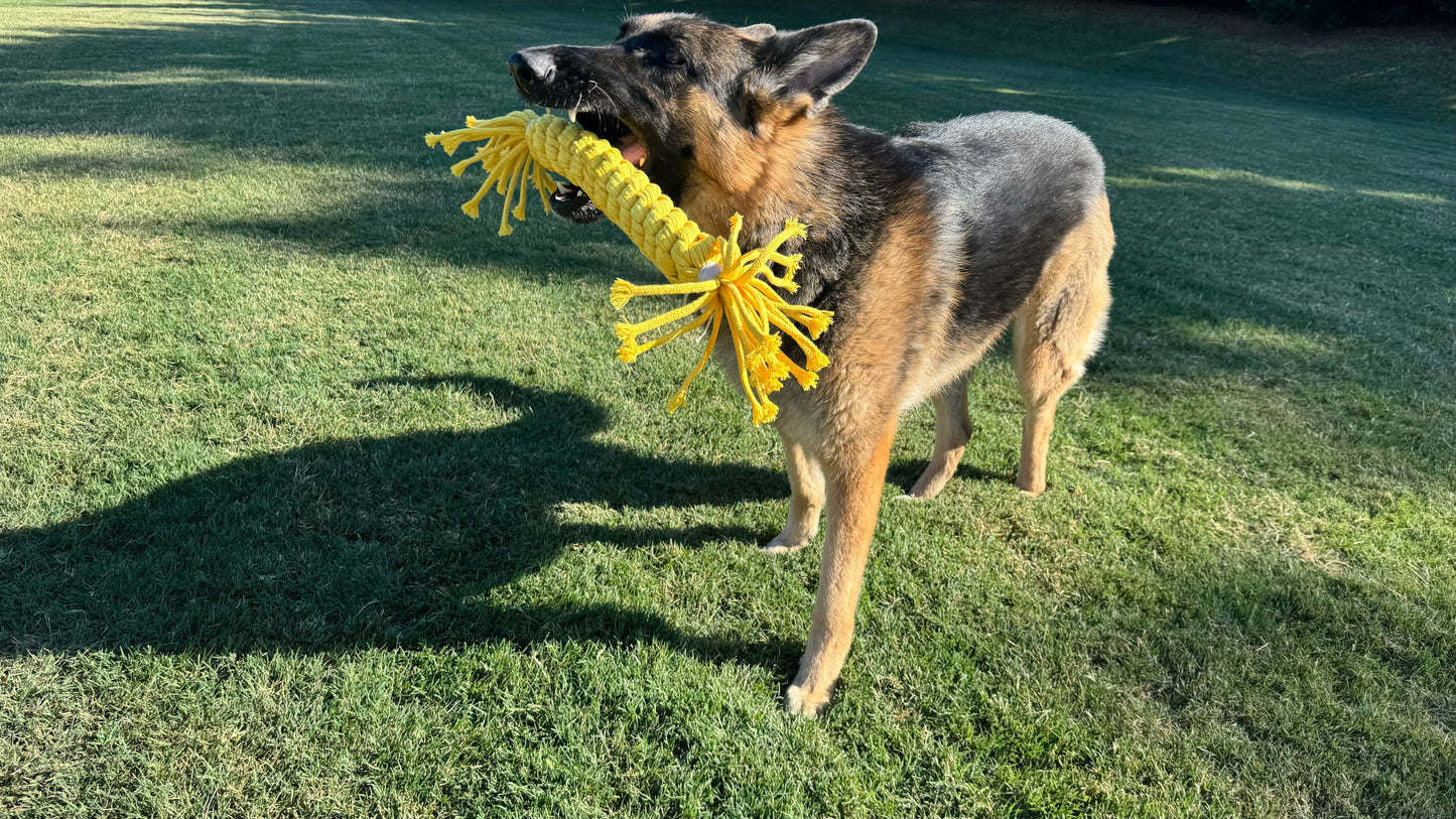 Dog playing with a yellow toy on a grassy field