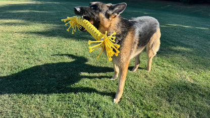 Dog playing with a yellow toy on a grassy field