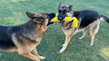Two German Shepherd dogs playing with a yellow toy on grass