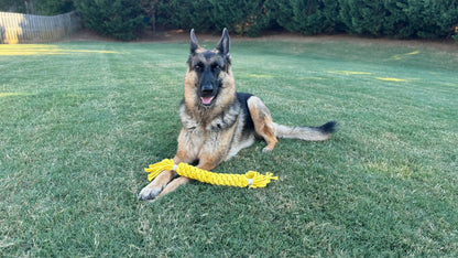 German Shepherd dog with a yellow rope toy on grass