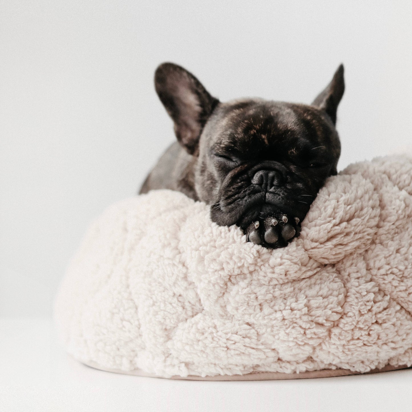 Taart Small Breed Dog Bed in Plum, Fern, & Camel