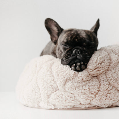 Taart Small Breed Dog Bed in Plum, Fern, & Camel