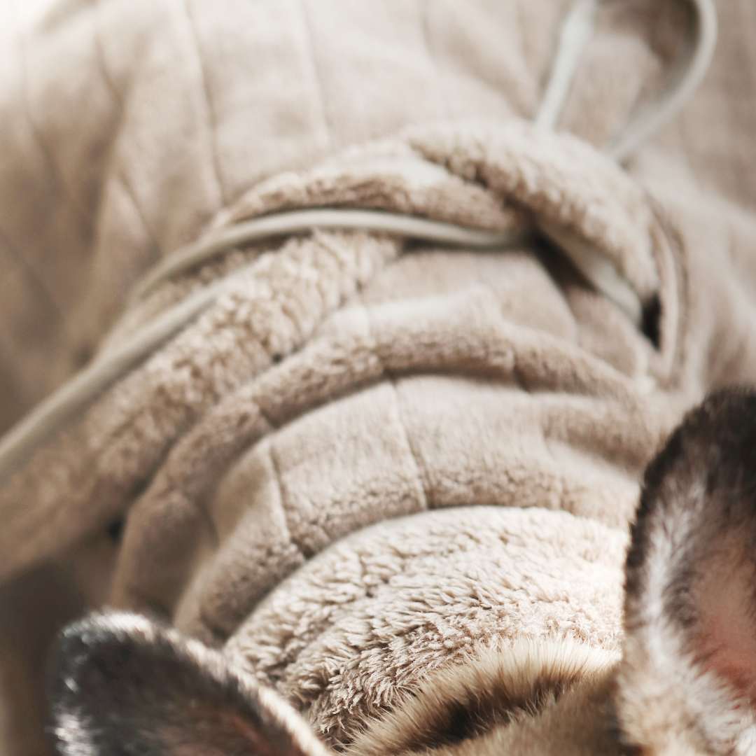 Close-up of a textured beige fabric with a focus on texture and color.