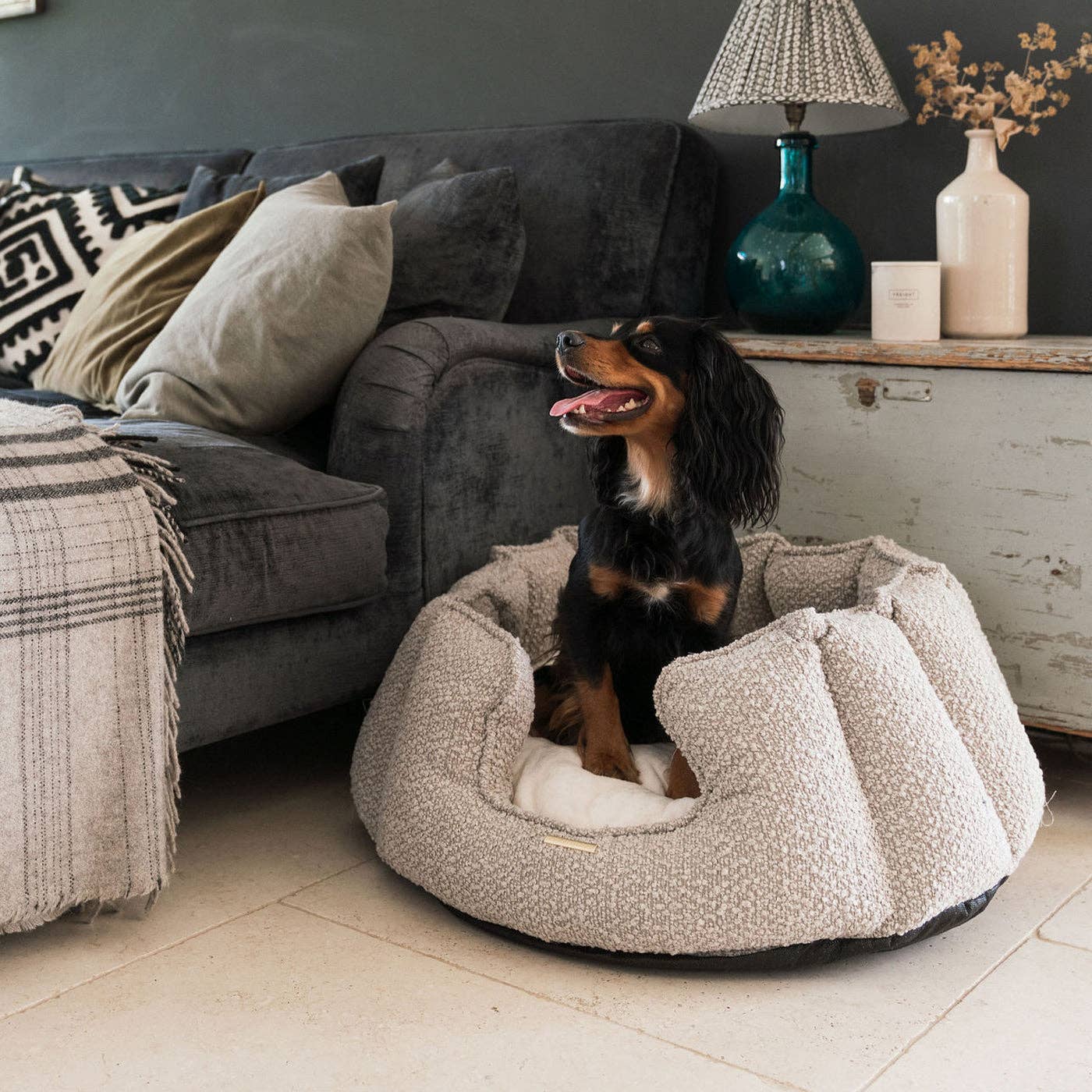 Dog sitting in a fluffy pet bed in a cozy living room.