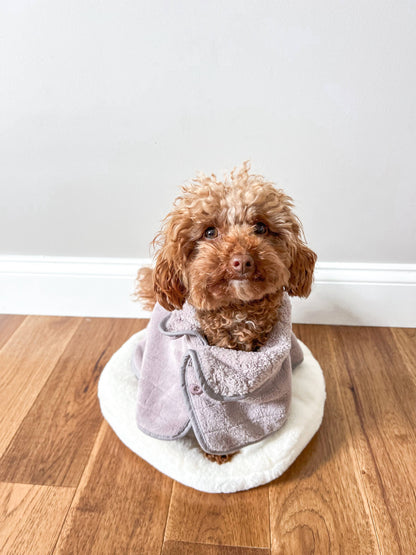 Small dog wearing a gray robe sitting on a white rug in a room with wooden flooring.