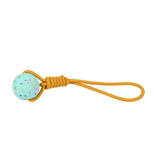 Toy with a turquoise ball and yellow rope on a white background