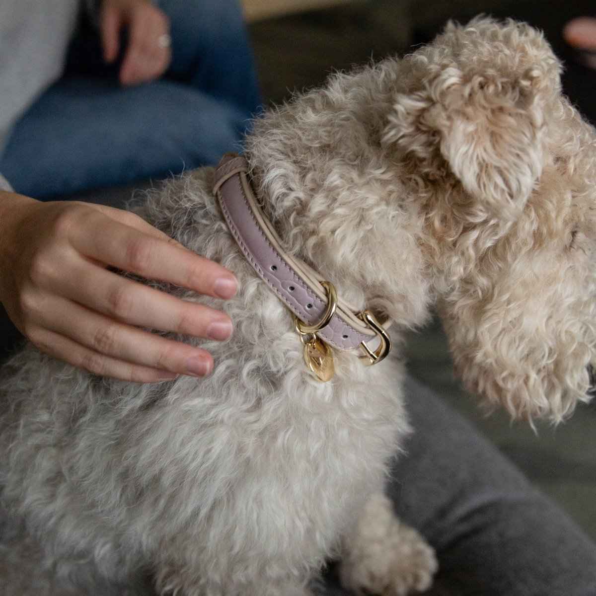 Collar - Vegan Leather