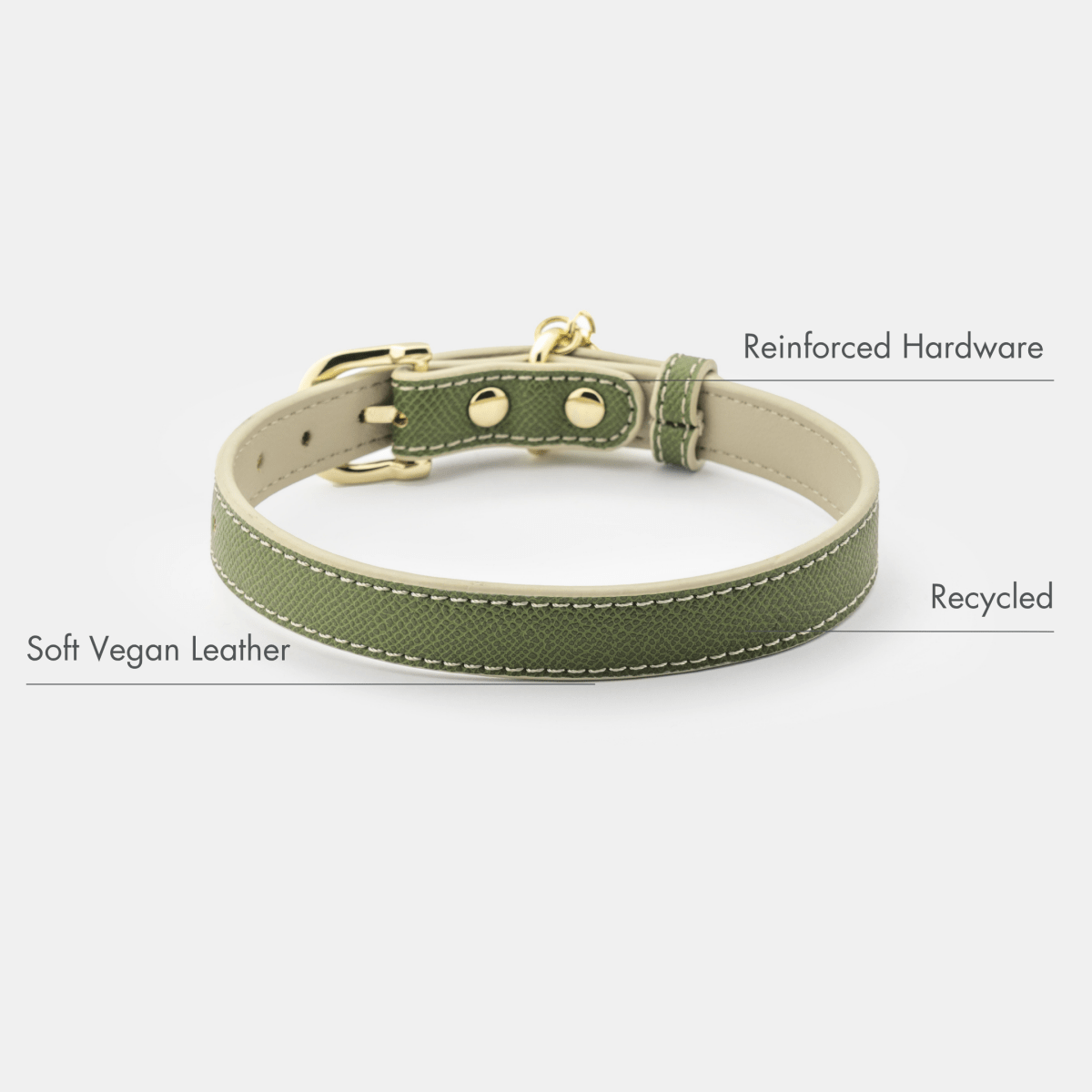 Green dog collar with beige accents on a white background