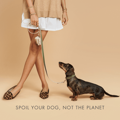 Person holding a dog leash with a dachshund on a beige background, with text 'Spoil your dog, not the planet'.