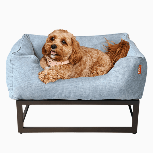 Dog lying on a blue pet bed with a visible brand logo.