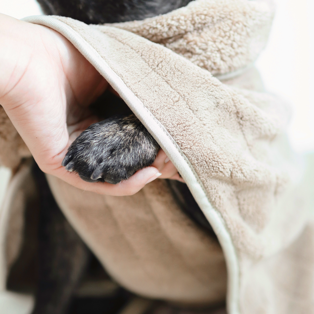 Person holding a dog's paw under a beige bathrobe