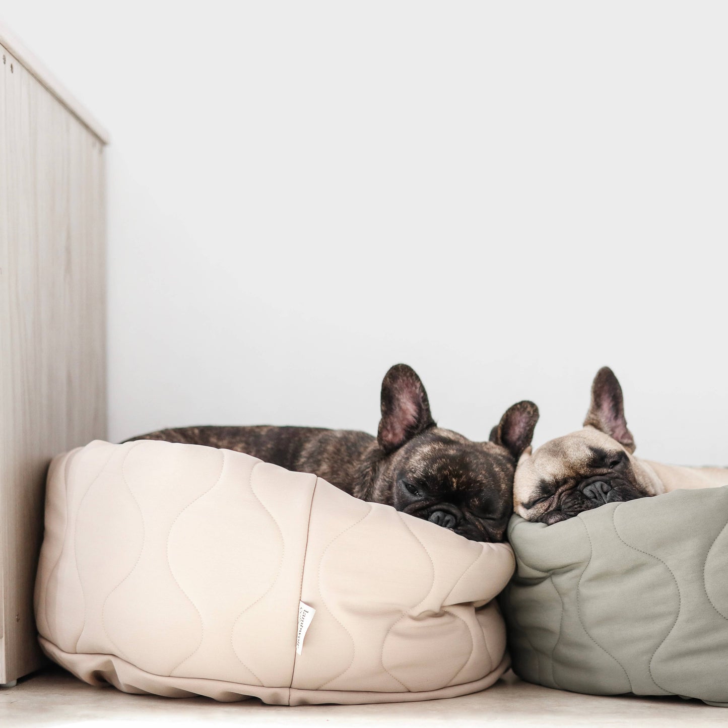 Taart Small Breed Dog Bed in Plum, Fern, & Camel