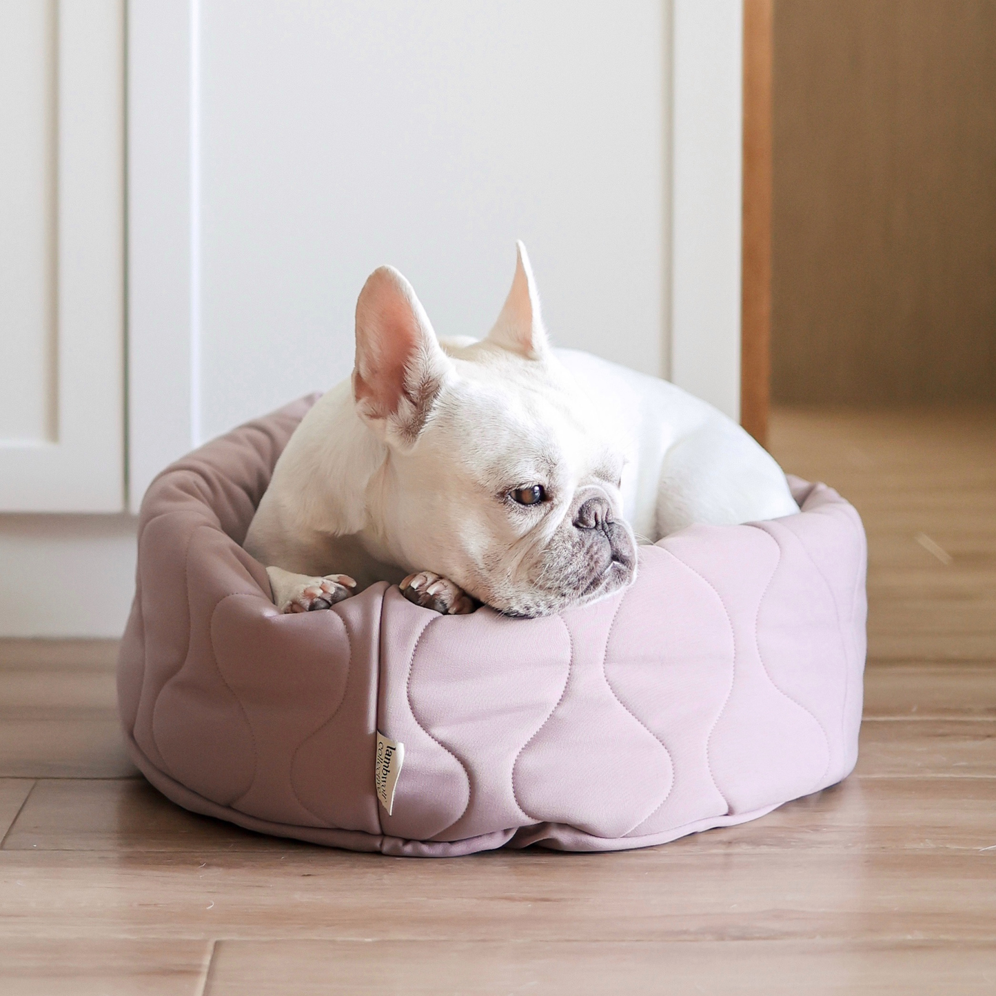 Taart Small Breed Dog Bed in Plum, Fern, & Camel