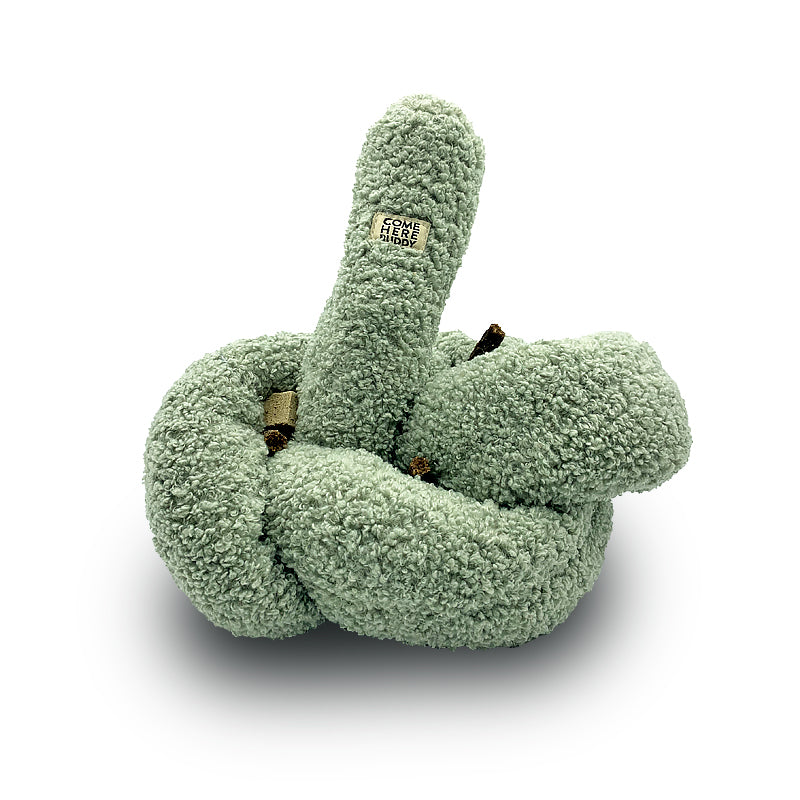 Green knotted dog toy on a white background