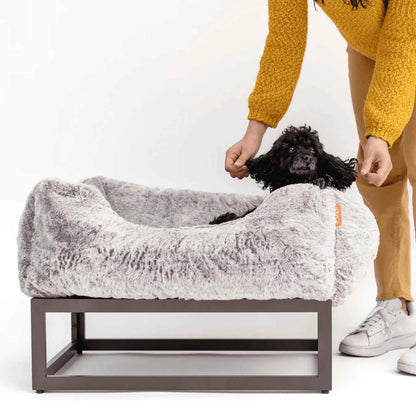 The FÜZI Dog Bed in gray on top of frame with small black dog on white background with woman in yellow outfit petting the dog's ears