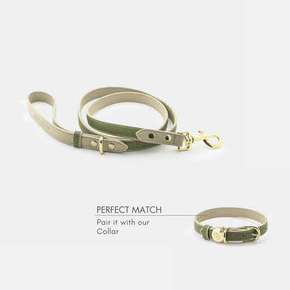 Green dog collar and leash set on a white background with text 'Perfect Match'.