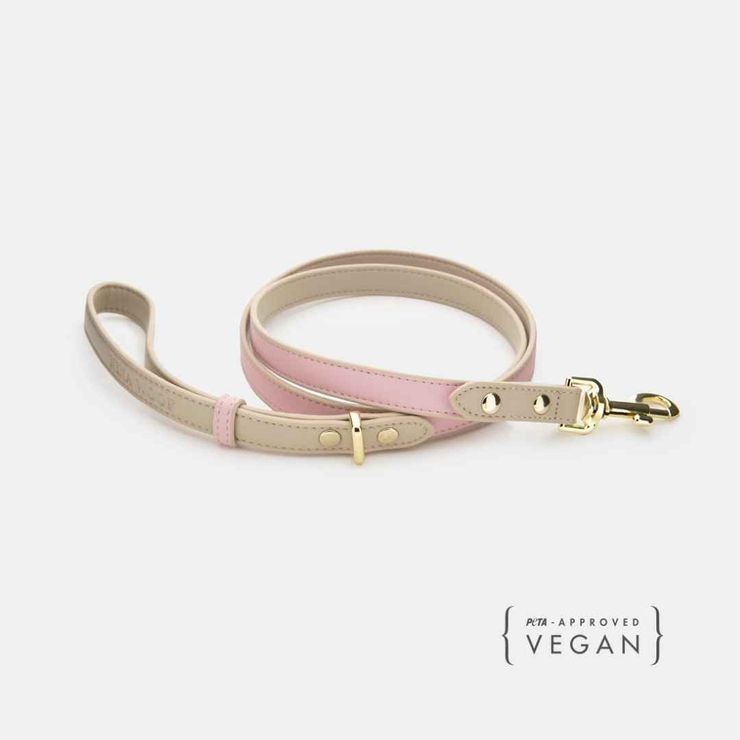 Leash 4ft - Vegan Leather - Cupertino