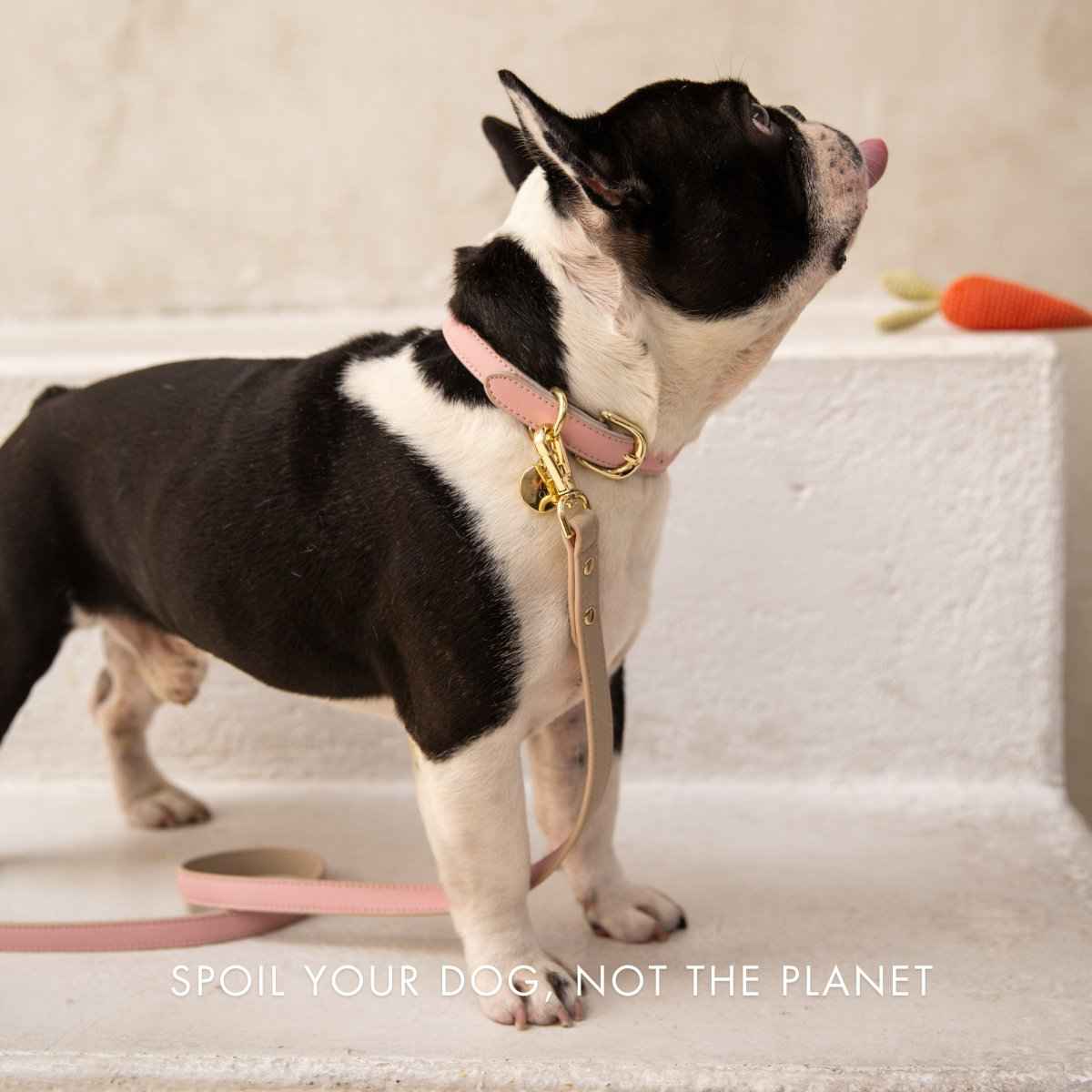 Leash 4ft - Vegan Leather - Cupertino