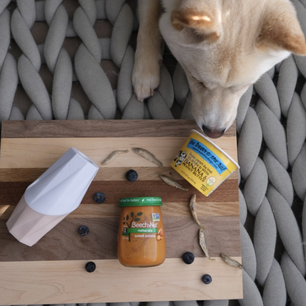 Dog sniffing a table with baby food jar, container, and blueberries on a woven mat background