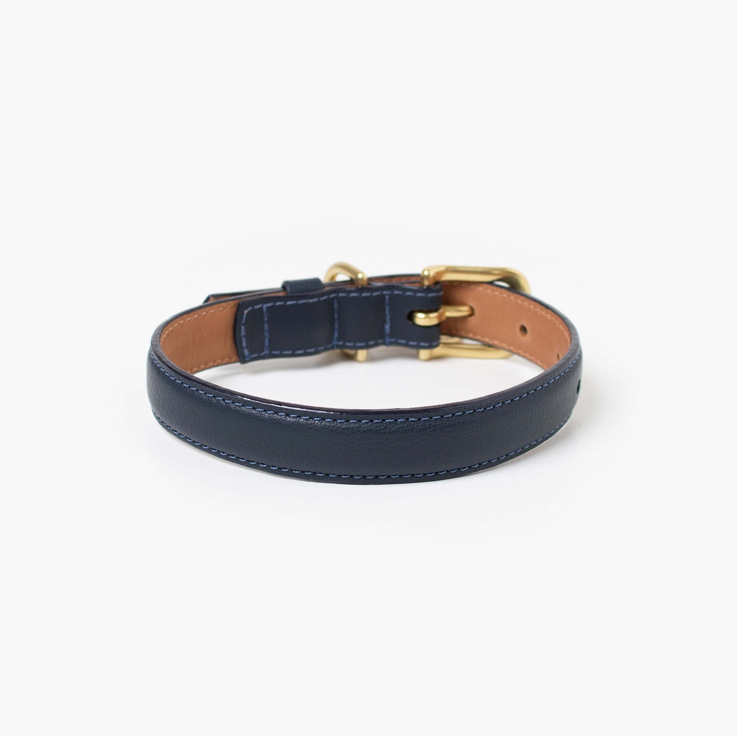 Navy leather dog collar with gold buckle on a white background