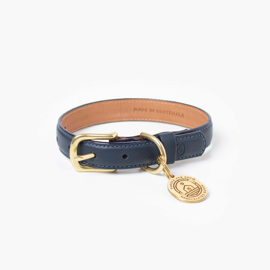 Navy leather dog collar with gold buckle and tag on a white background