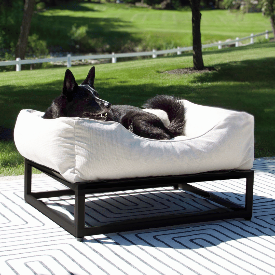 Dog lying on a white pet bed with a black frame against a white background
