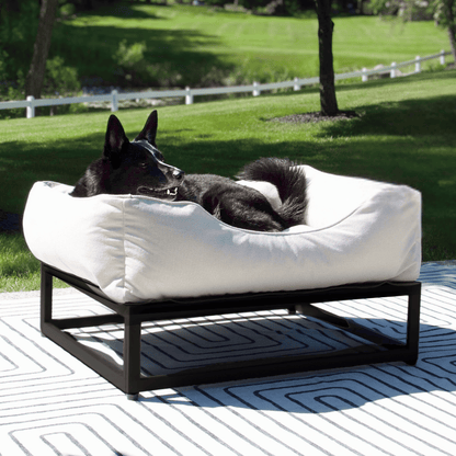 Dog lying on a white pet bed with a black frame against a white background